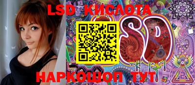 прущие грибы Абакан