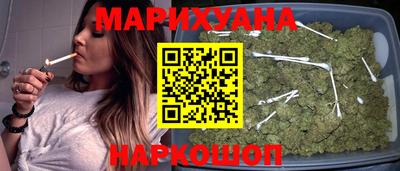 прущие грибы Абакан