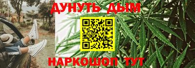 прущие грибы Абакан