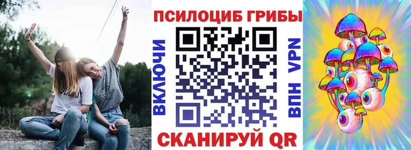 где продают наркотики  Абакан  Псилоцибиновые грибы Psilocybine cubensis 