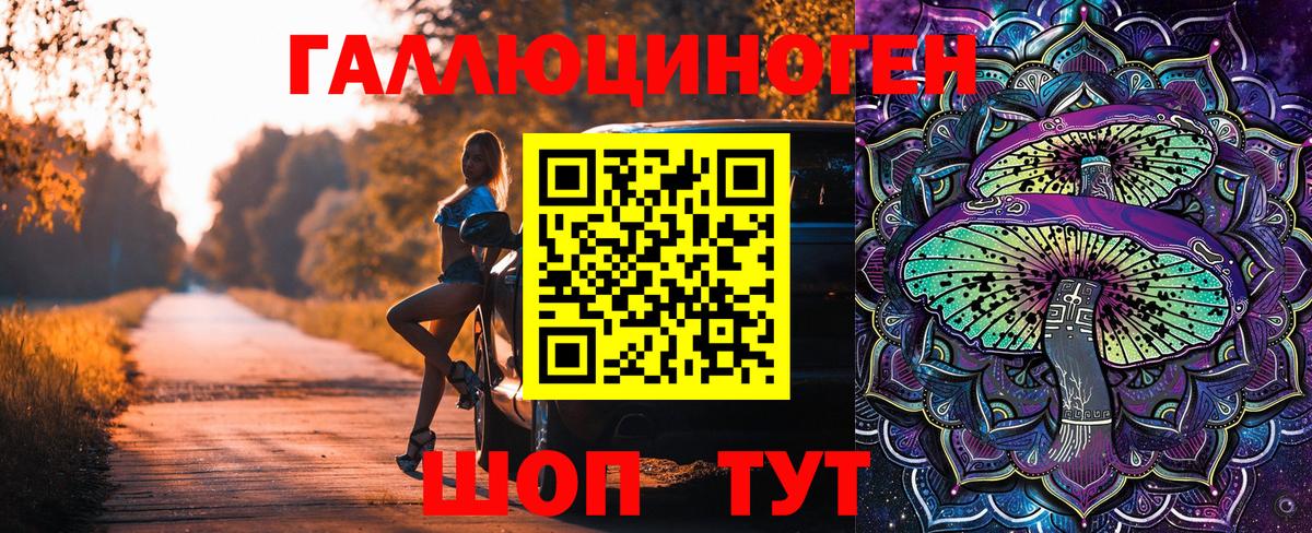 Псилоцибиновые грибы GOLDEN TEACHER Абакан